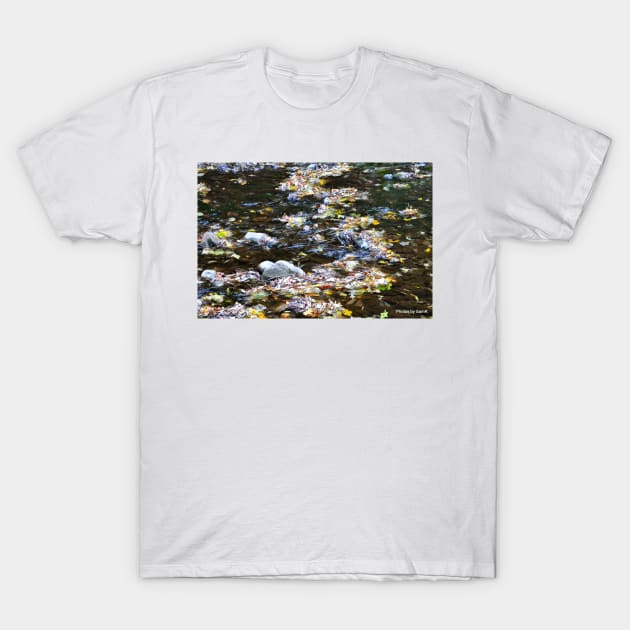 Babbling Autumn Brook T-Shirt by srosu